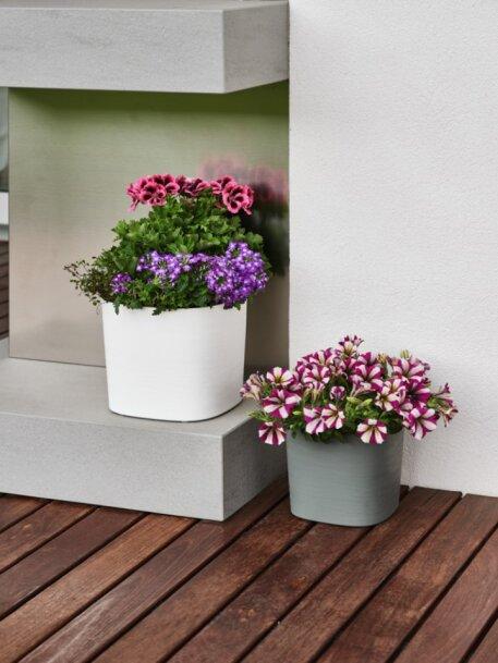 Вазон пластиковий TeraPlast CAPRI CLOUD 24 см (A-014749) - фото 2 Вазон пластиковий TeraPlast CAPRI CLOUD 24 см (A-014749) - фото 2