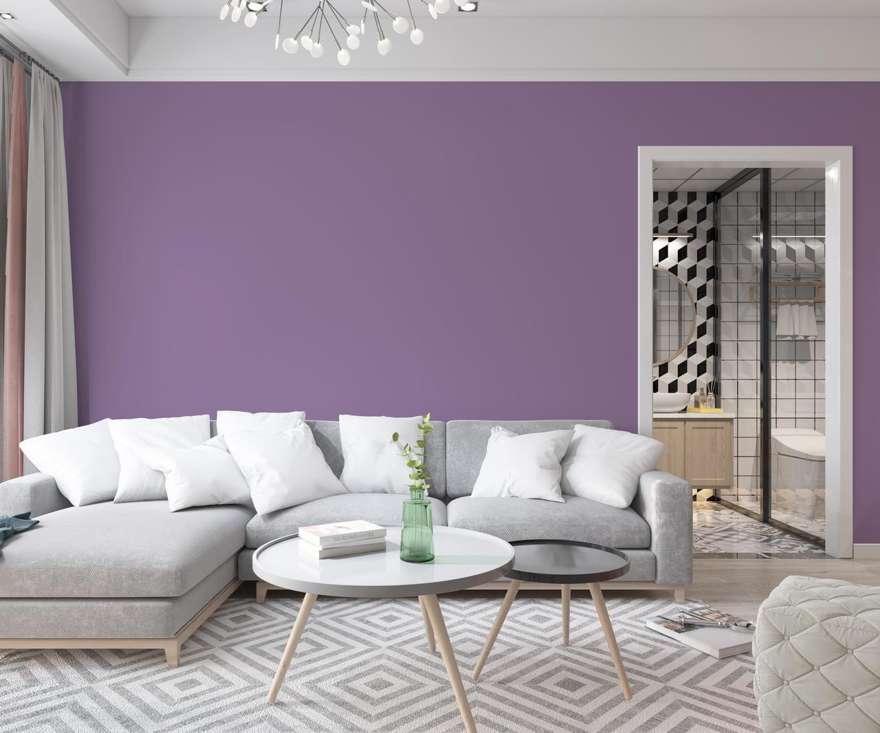 Краска интерьерная латексная Skyline 3 л 4020-R50B Фиолет (2487185993) - фото 3 Краска интерьерная латексная Skyline 3 л 4020-R50B Фиолет (2487185993) - фото 3