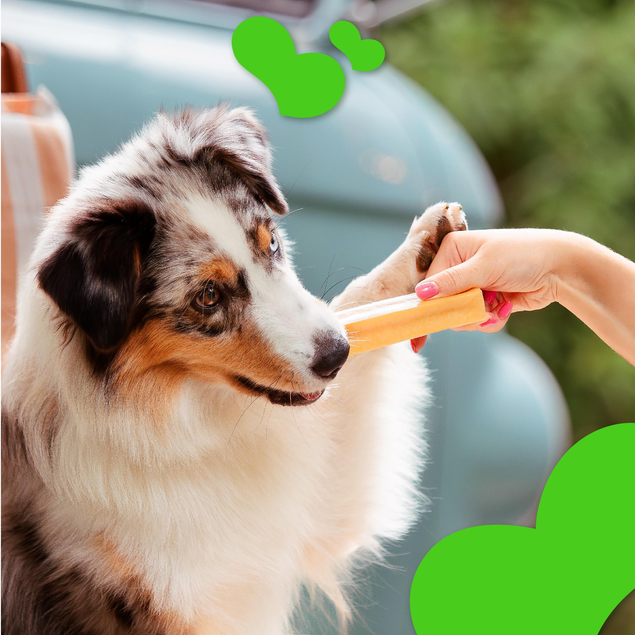 Палочка жевательная для собак Mavsy CHEESE STICK с сыром и укропом 45 г - фото 6 Палочка жевательная для собак Mavsy CHEESE STICK с сыром и укропом 45 г - фото 6