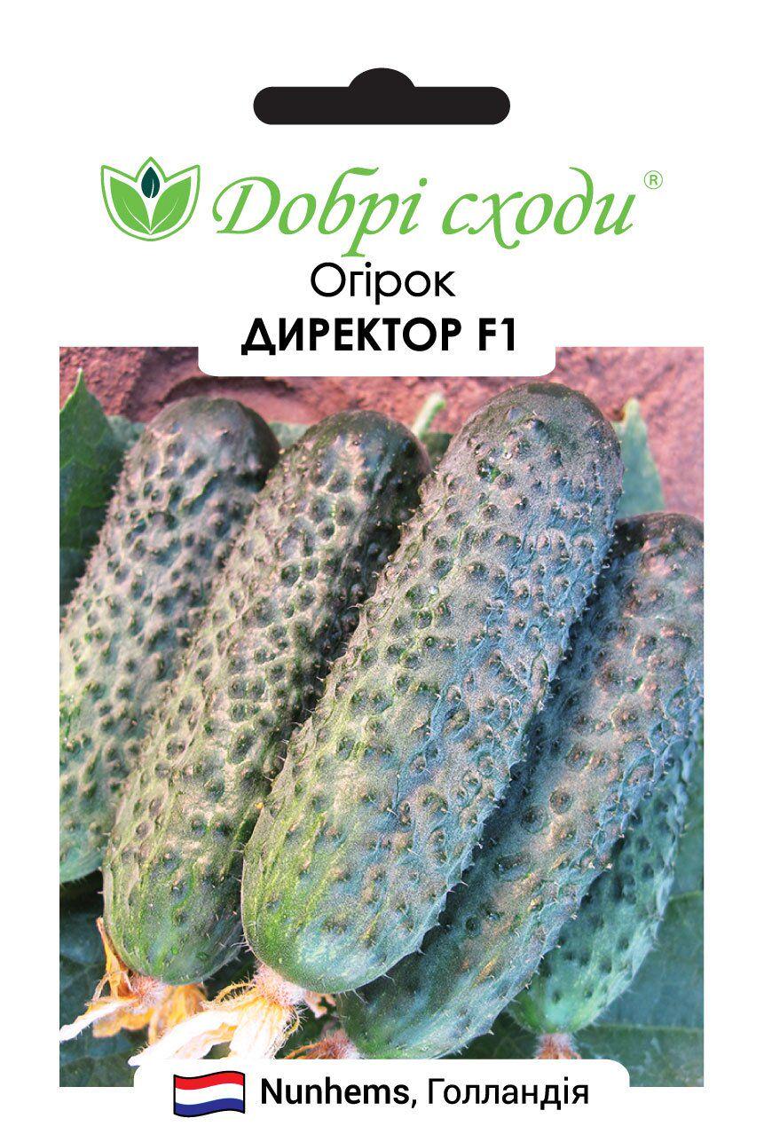 Насіння огірків Директор F1 (3340)