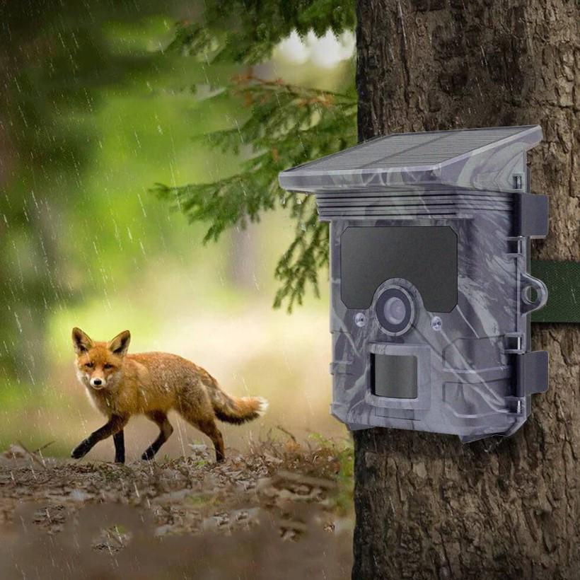 Камера фотоловушка Redleaf RD7000 24MP/2.7K с поддержкой ночного видения (1480453173) - фото 4