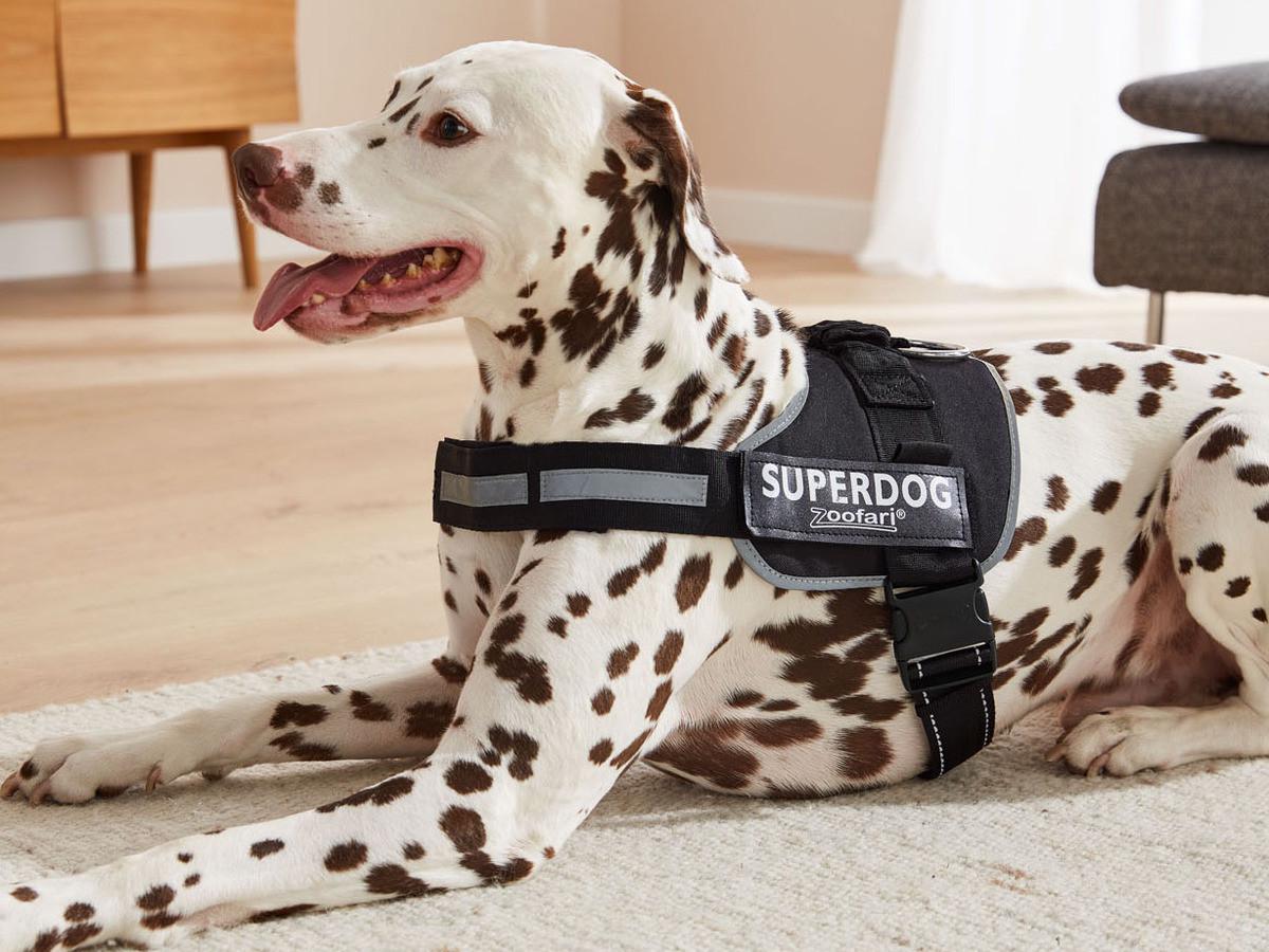 Шлейка для собак ХL Zoofari со светоотражающими элементами 90-119 см (1862671619) - фото 8 Шлейка для собак ХL Zoofari со светоотражающими элементами 90-119 см (1862671619) - фото 8