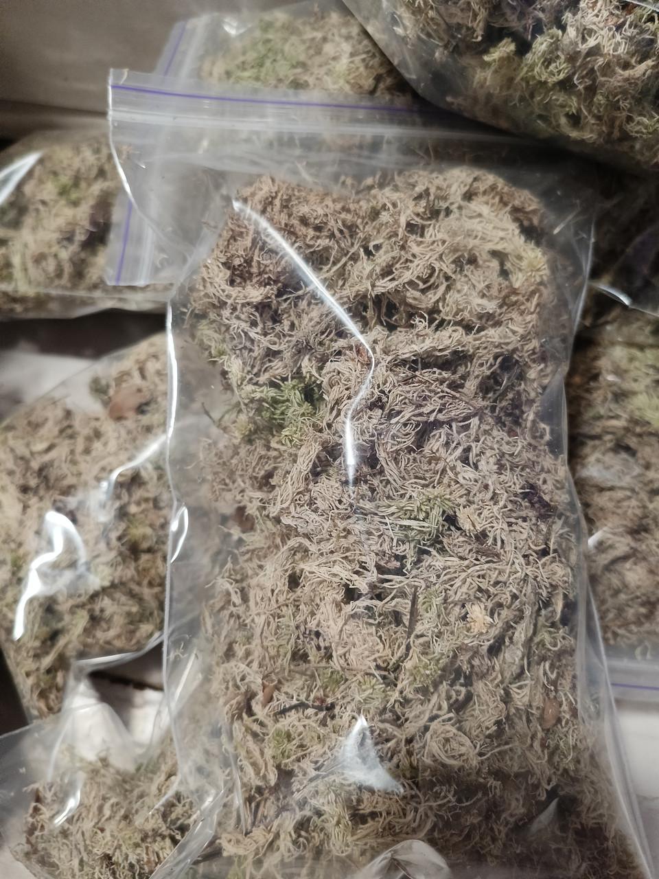 Добавка для ґрунту Мох сфагнум сухий 1 л (2362775396)