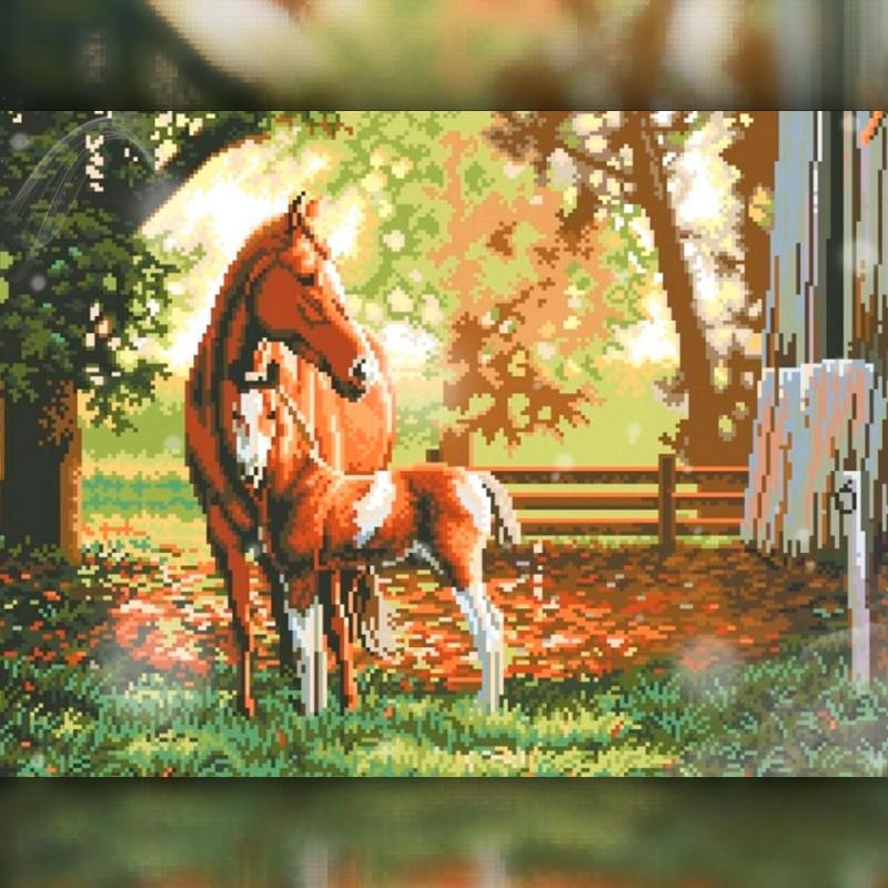 Алмазна мозаїка на підрамнику The Wortex Diamonds Кінь з лошам 50x60 см (TWD20032XL+P)
