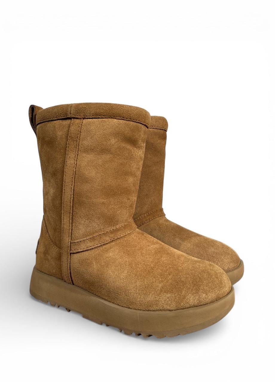 Угги UGG Classic Short Waterproof р. 36/US 5/22 см Коричневый (s/n1017508)