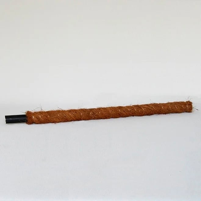 Палка кокосовая Flora 60 см 5 шт (1761)