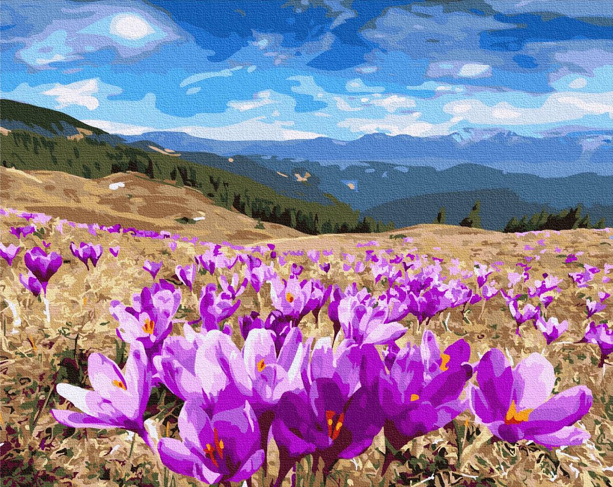 Картина за номерами Brushme Долина крокусів 40х50 см (GX27318)