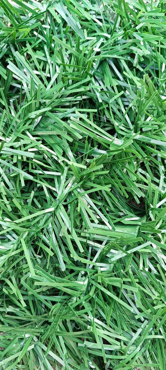 Паркан рулонний 2x10 м Зелений (2149374340) - фото 6