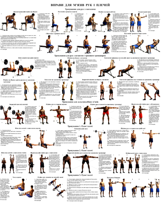Плакат вправи рук та плечей 50х64,5 см