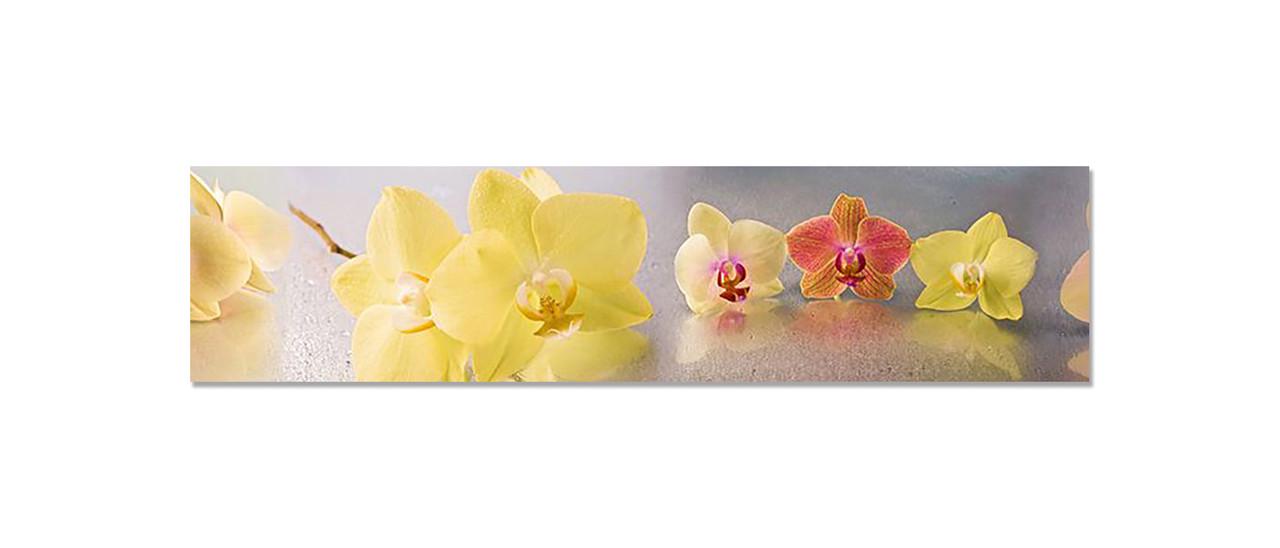 Фартук кухонный Пастельные орхидеи 60х250 см Желтый