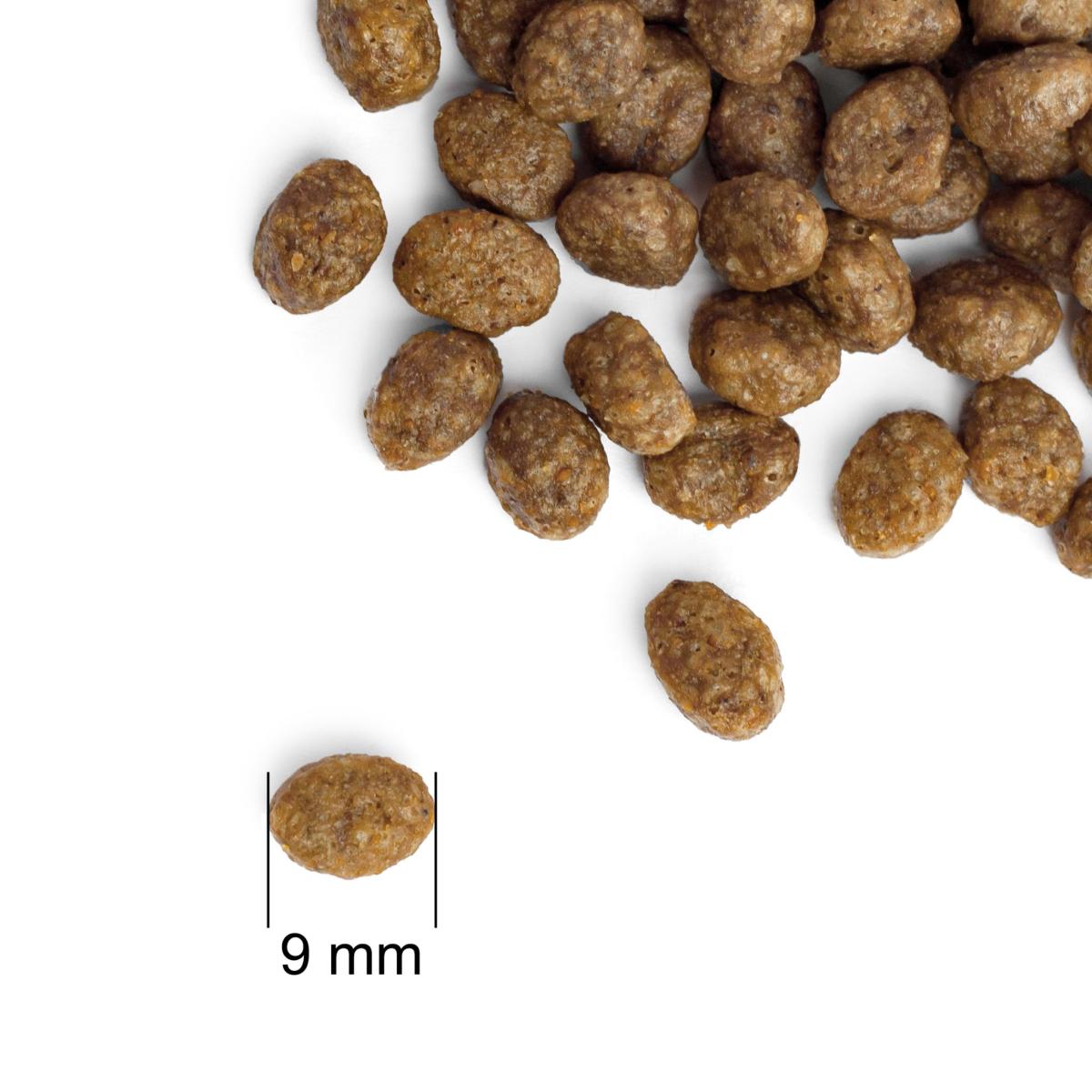 Корм для котів Practik Simple Суперпреміум з Свіжим Лососем 2 кг (2CSS904) - фото 3