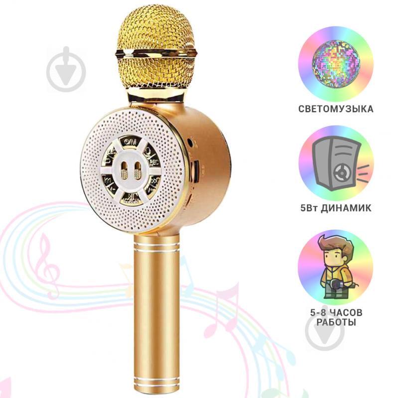 Детский микрофон Wster с функцией караоке USB, microSD, AUX, Bluetooth WS 669 Золотой Детский микрофон Wster с функцией караоке USB, microSD, AUX, Bluetooth WS 669 Золотой