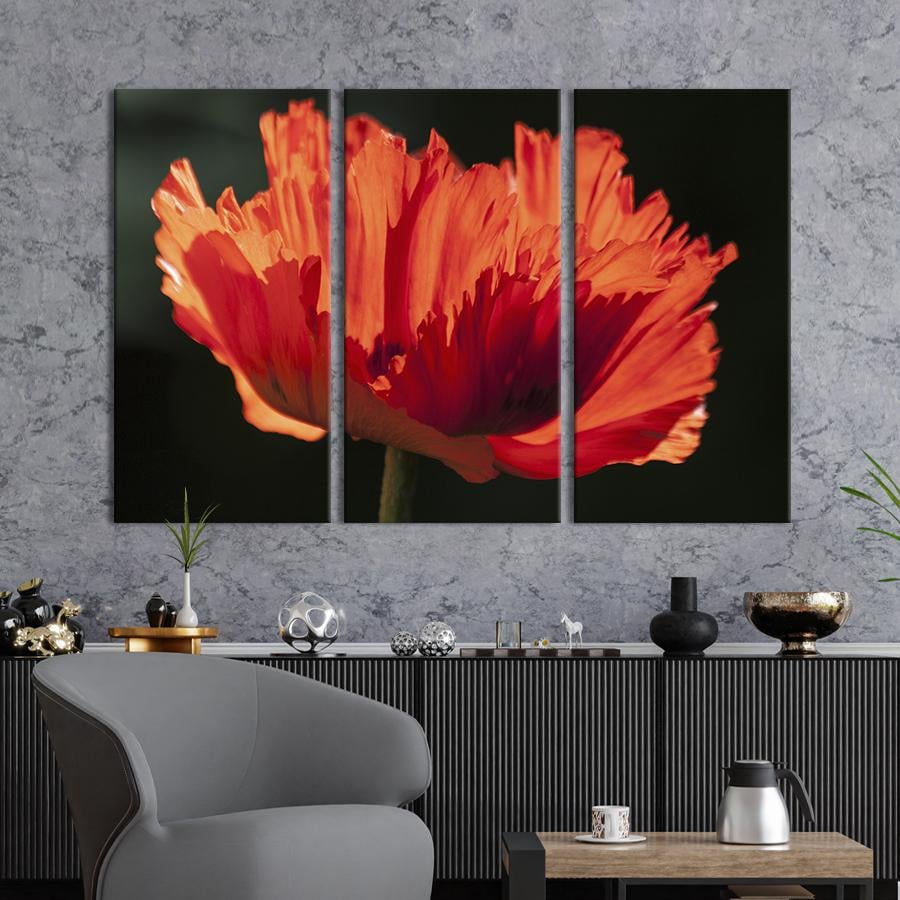 Картина на холсте триптих Ажурный красный мак 128x81 см (969-31)