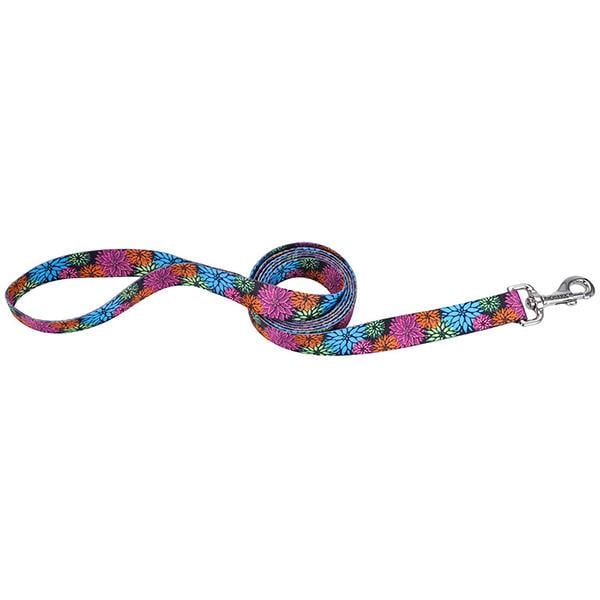 Поводок для собак Coastal Pet Attire Style 2 см х 1,2 м