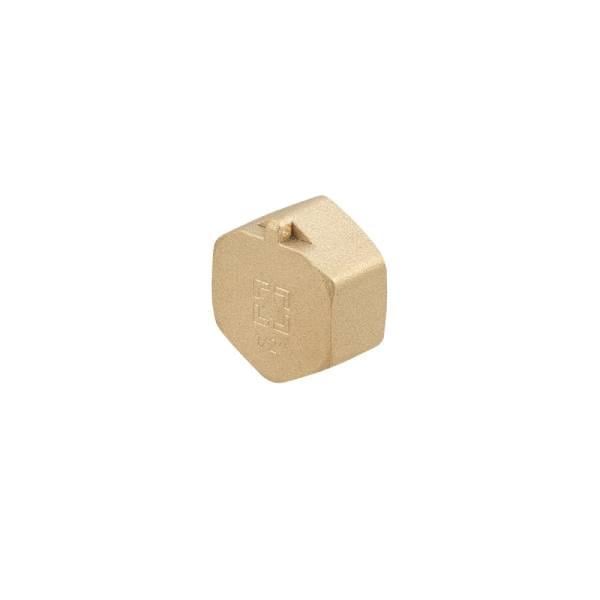 Заглушка Raftec GOLD під пломбу ВВ 3/4" (103833)