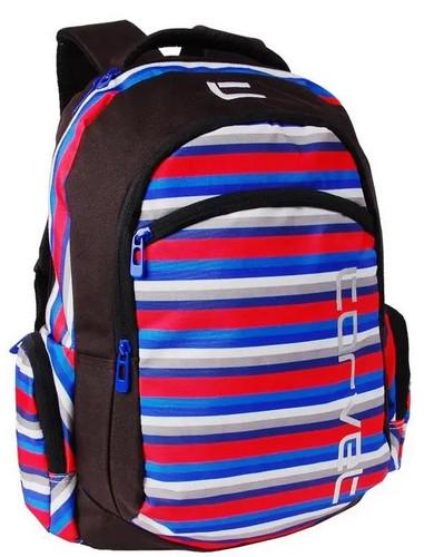 Рюкзак Paso 22 л Разноцветный (sposupe47_BP2049-87)