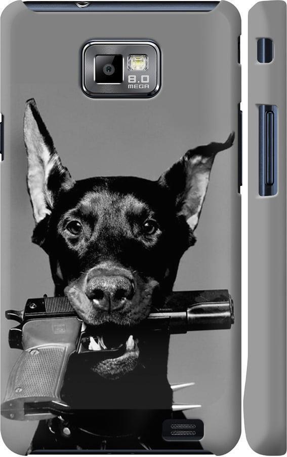 Чехол на Samsung Galaxy S2 i9100 Доберман (2745c-14-42517)