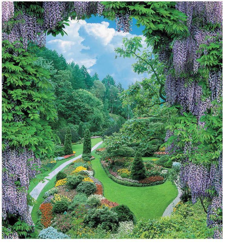 Фотообои на бумажной основе Artdecor Сирень 201х194 см 12Л (2000000451275)