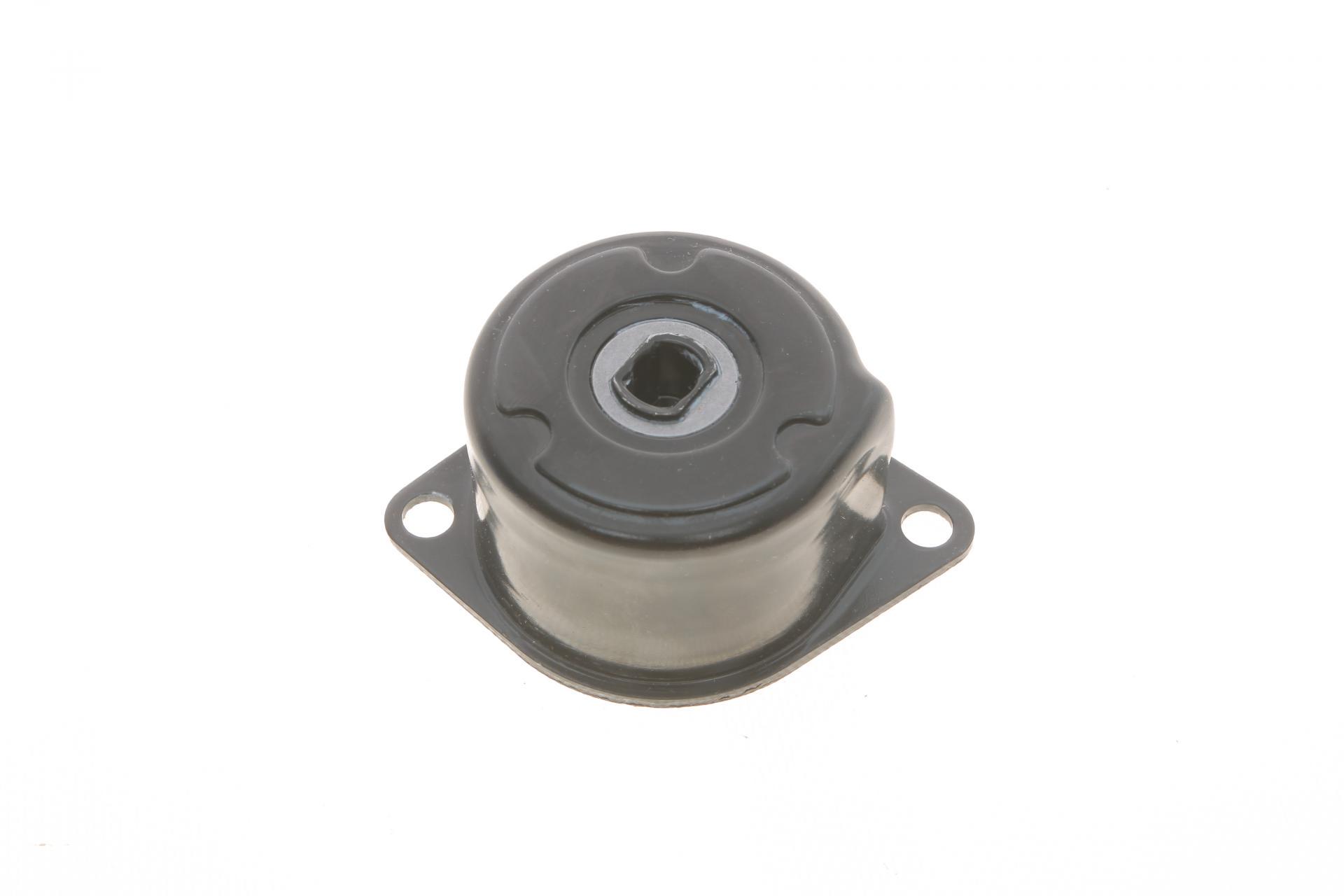 Натяжник ремня генератора SKF VW T4 2.5TDI 90-03 (VKM 31005 SKF)