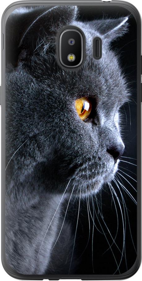 Чехол на Samsung Galaxy J2 2018 Красивый кот (3038u-1351-42517)