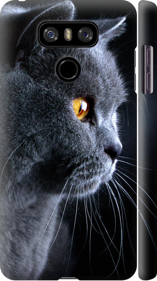 Чехол на LG G6 Красивый кот (3038m-836-42517)