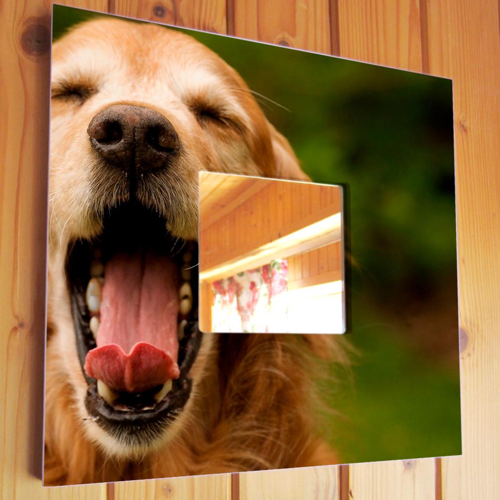 Зеркало декоративное Собака зевающая 260х260 мм (M03688) Зеркало декоративное Собака зевающая 260х260 мм (M03688)