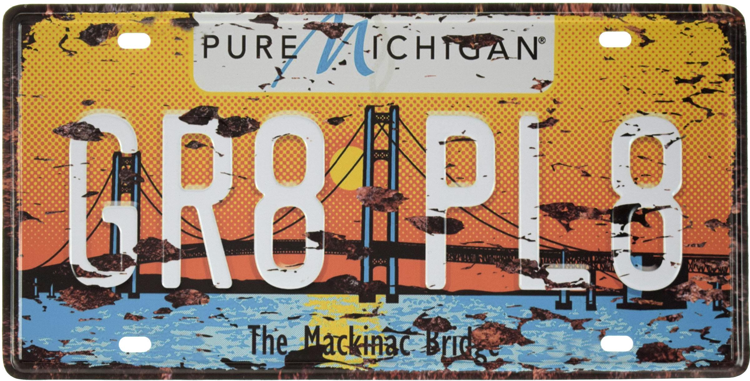 Табличка металлическая Мичиган/Michigan GR8 PL8 15x30 см
