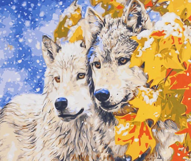 Картина за номерами TK Group 31327 30 Вовки 40х30 см (121648)