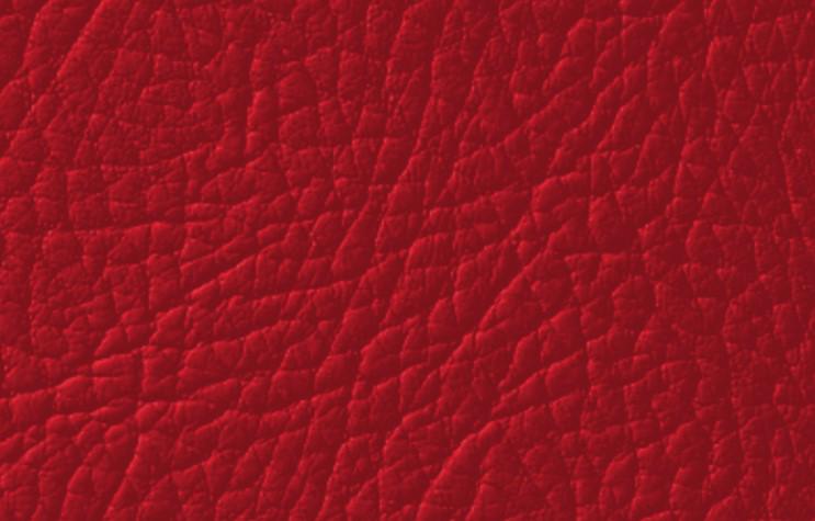 Эмаль для окрашивания кожи Leather Expert Colourant 100 г 503 Flamenco Red