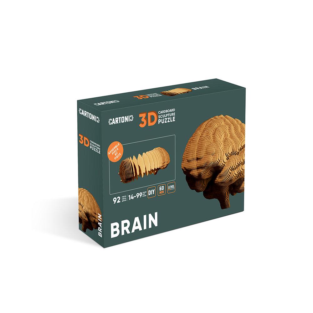 Конструктор картонный Cartonic 3D Puzzle Brain - фото 3