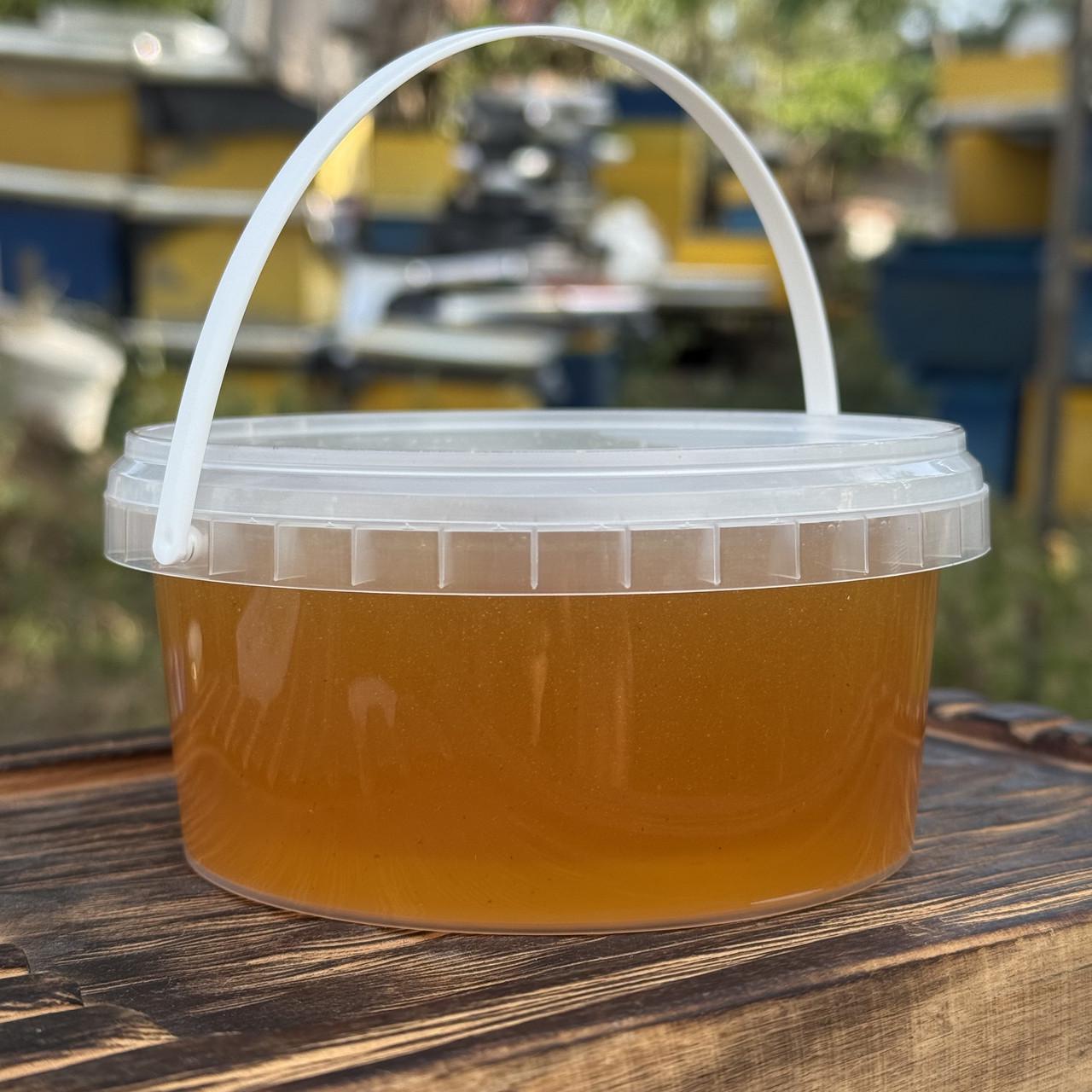 Мед Лесное разнотравье с Липой из кочевой пасеки 2025 г. 0,5 л/700 г (2690923806)