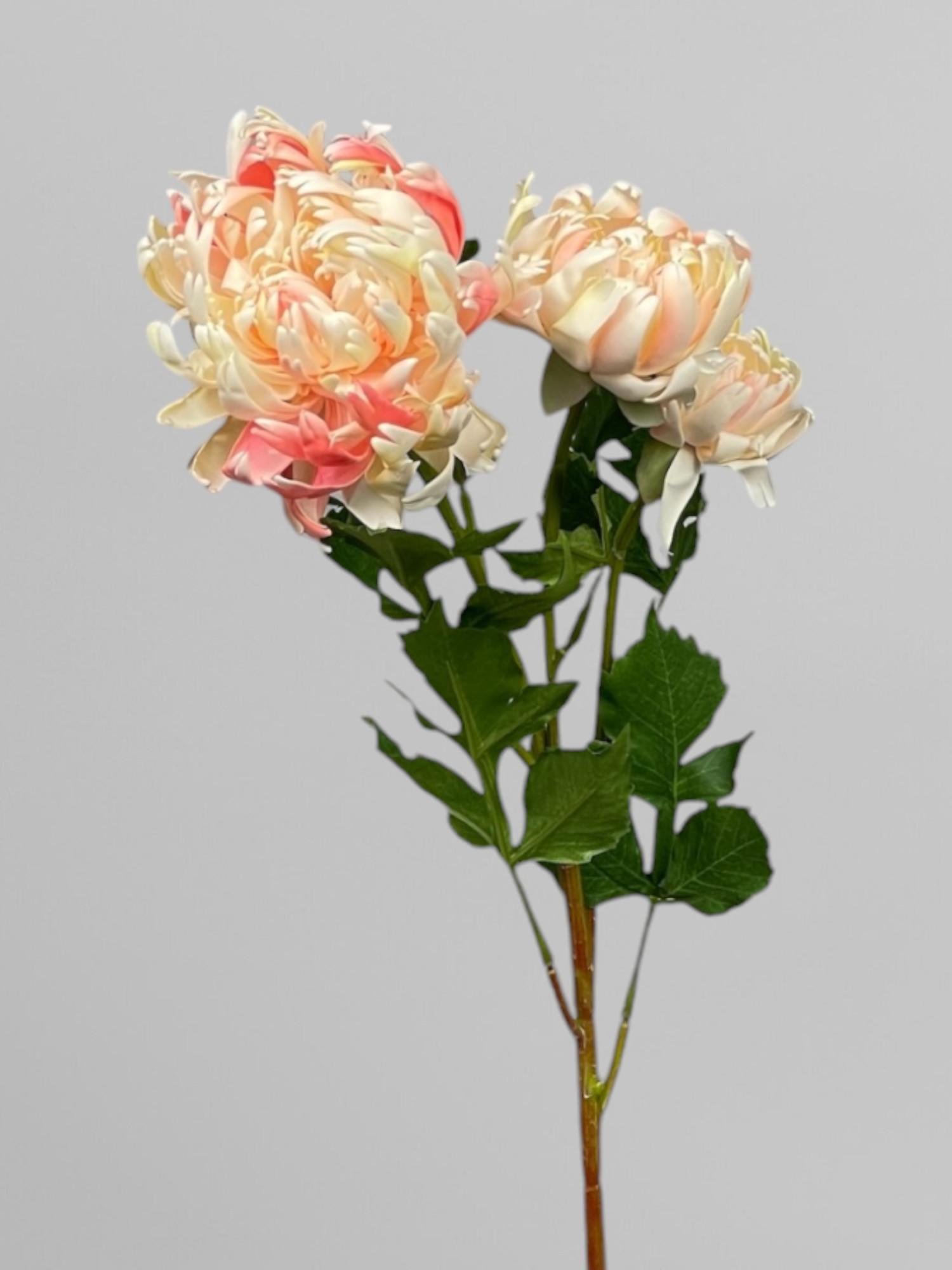 Искусственная хризантема на стебле 70 см Бело-розовый (К13066)