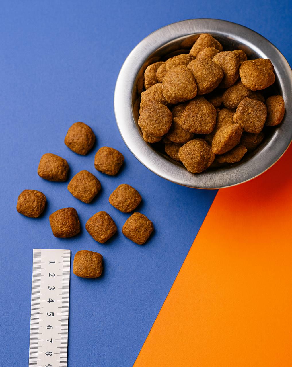 Корм BUDDYFOOD для собак больших и средних пород с говядиной 10 кг (7474038) - фото 3 Корм BUDDYFOOD для собак больших и средних пород с говядиной 10 кг (7474038) - фото 3