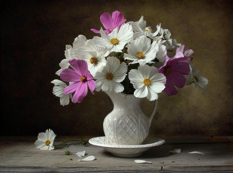 Картина по номерам Brushme "Космеи" (GX3761) Картина по номерам Brushme "Космеи" (GX3761)