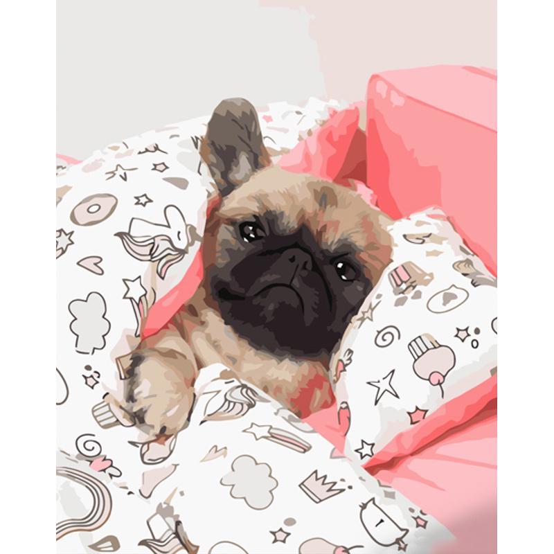 Картина по номерам Strateg Премиум Мопсик в кровати 40х50 см (GS1224)