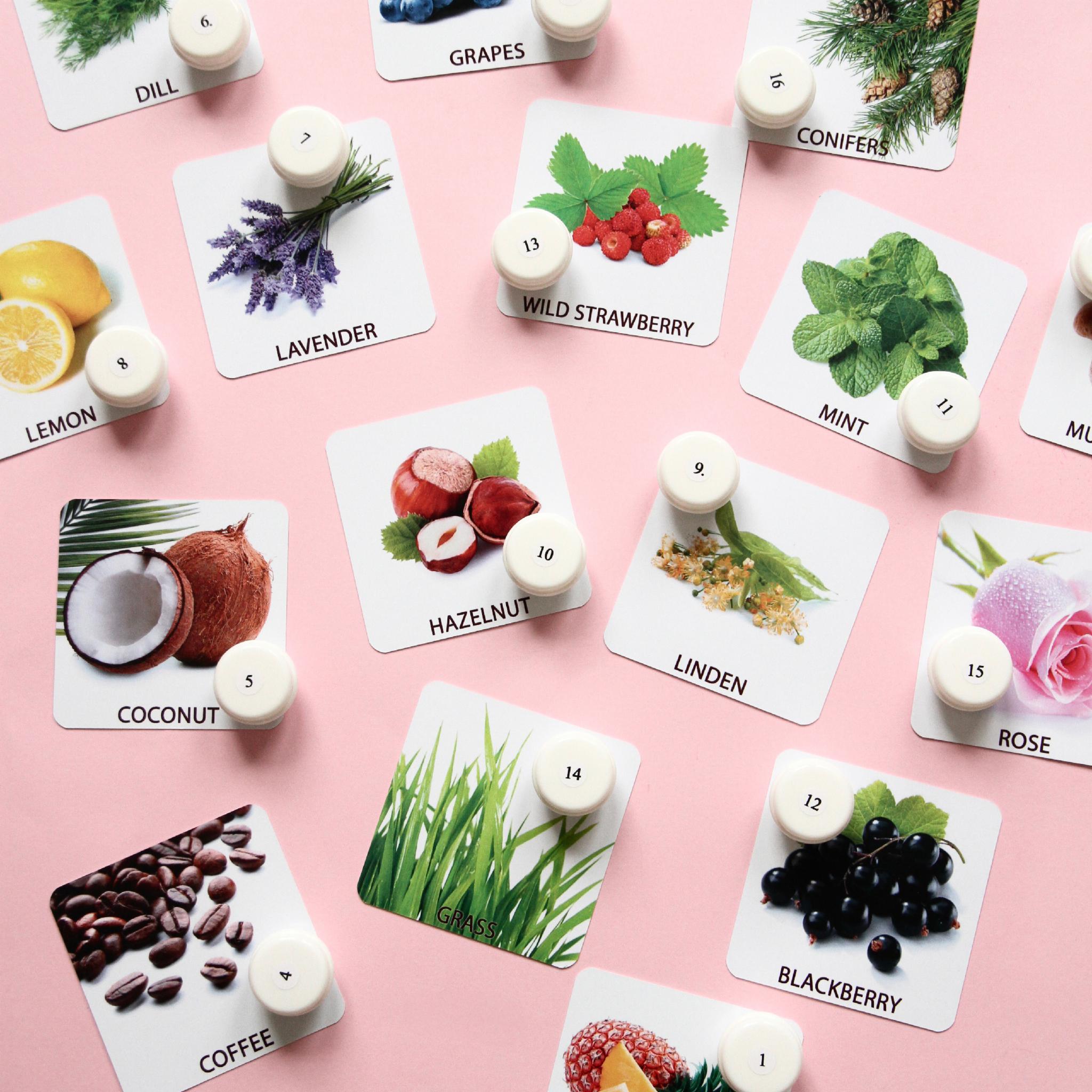 Настільна гра Zoia for Kids Лото ароматне 16 ароматів (М-001) - фото 4 Настільна гра Zoia for Kids Лото ароматне 16 ароматів (М-001) - фото 4