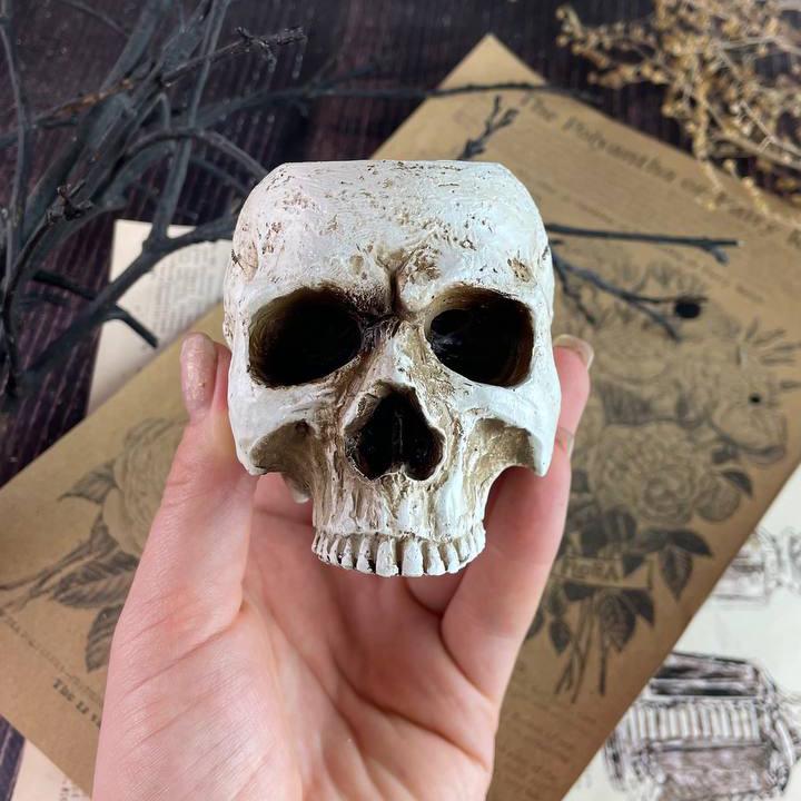 Свічник 5candles Череп Відьми (1529) - фото 2 Свічник 5candles Череп Відьми (1529) - фото 2