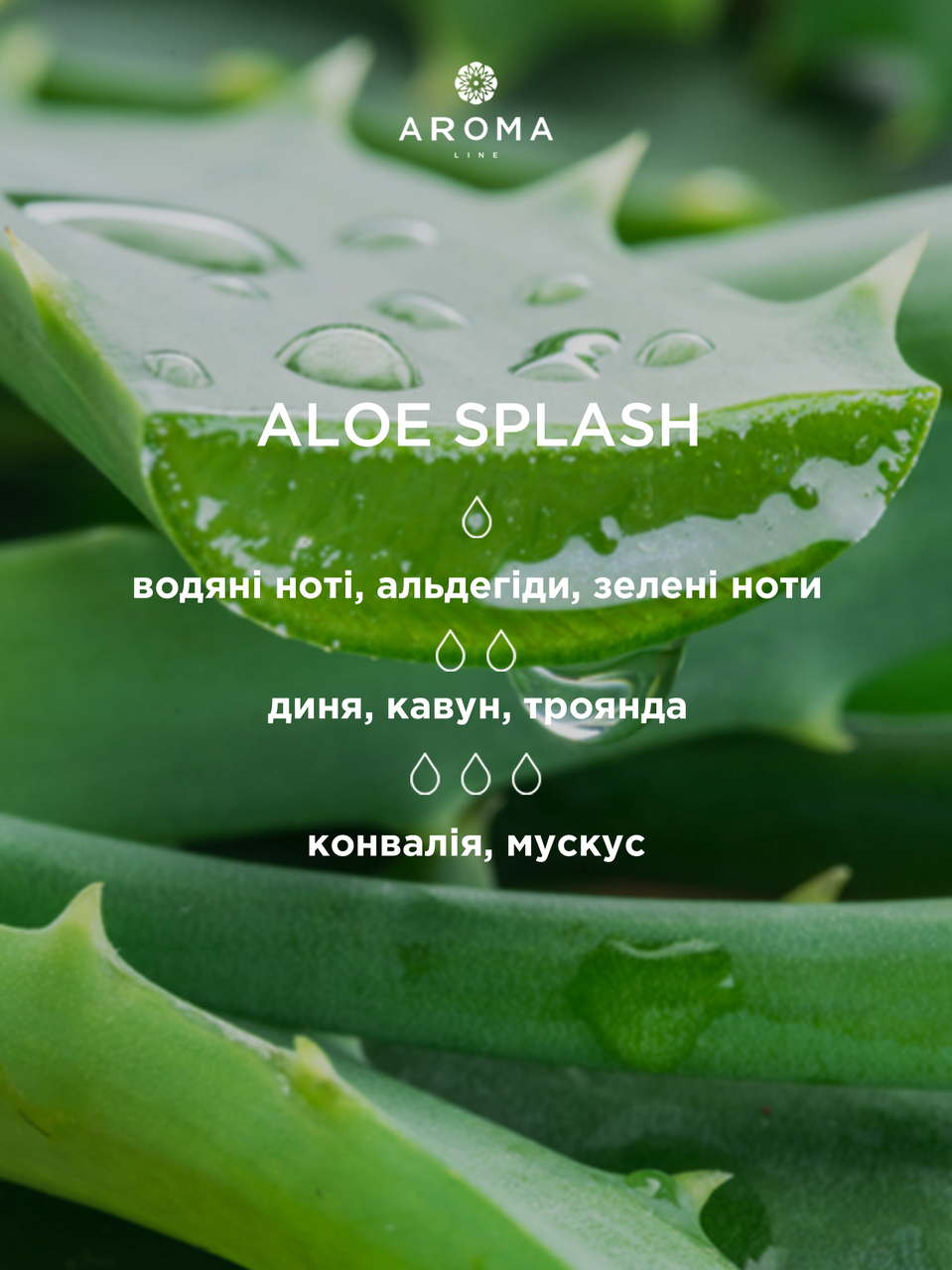 Аромат/отдушка для изготовления мыла и косметики Aloe Splash 10 г - фото 2