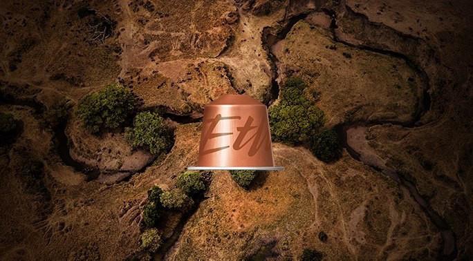 Кава в капсулах Nespresso Master Origin Ethiopia 40/110 мл - фото 4