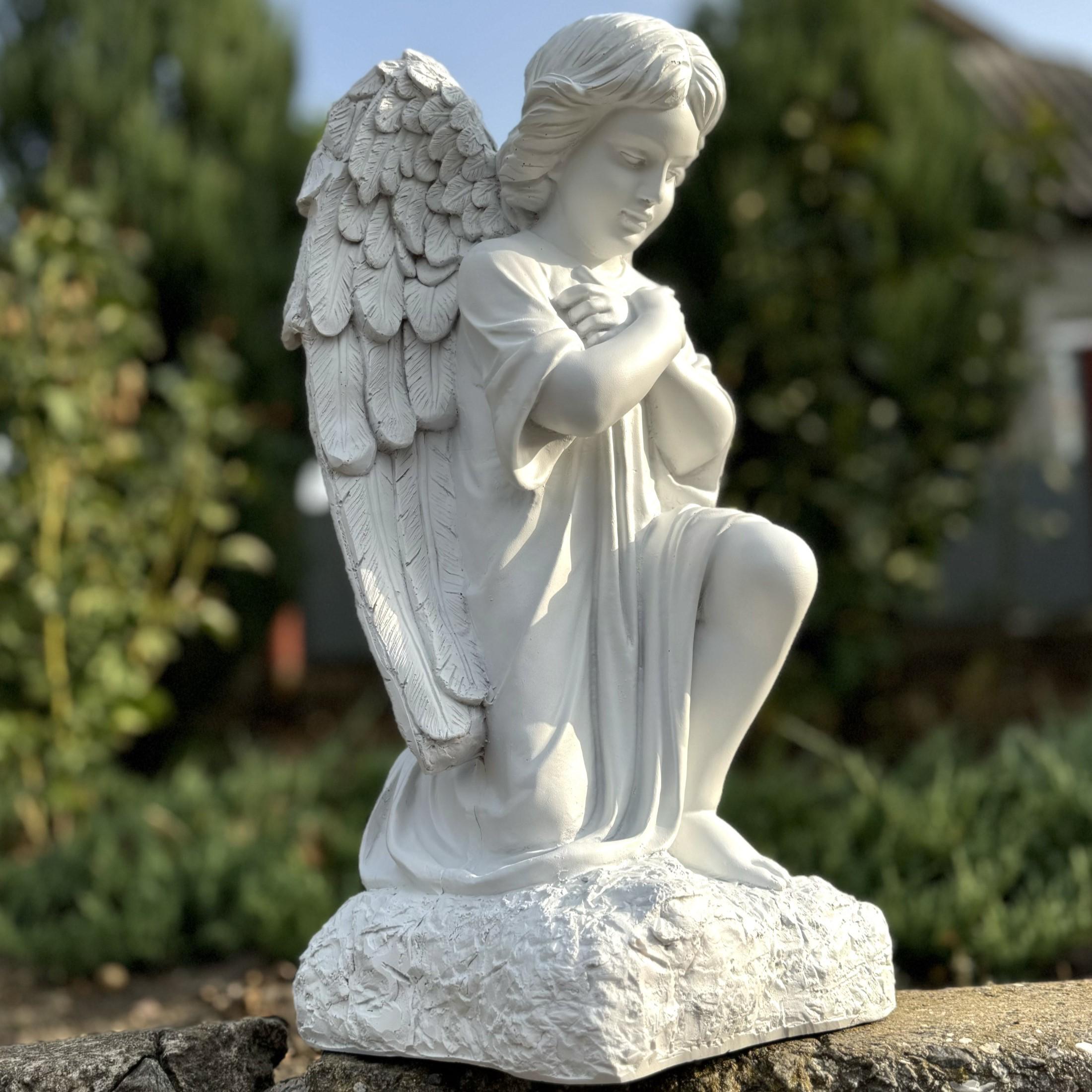 Ашық есектің фотосуреттері