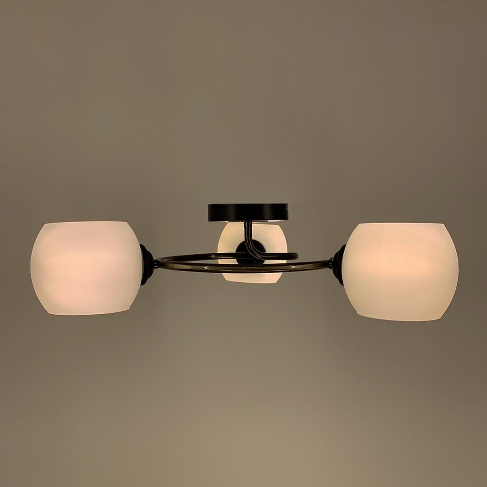 Люстра стельова з кругом на 3 плафони Чорний (51925/3B) - фото 2