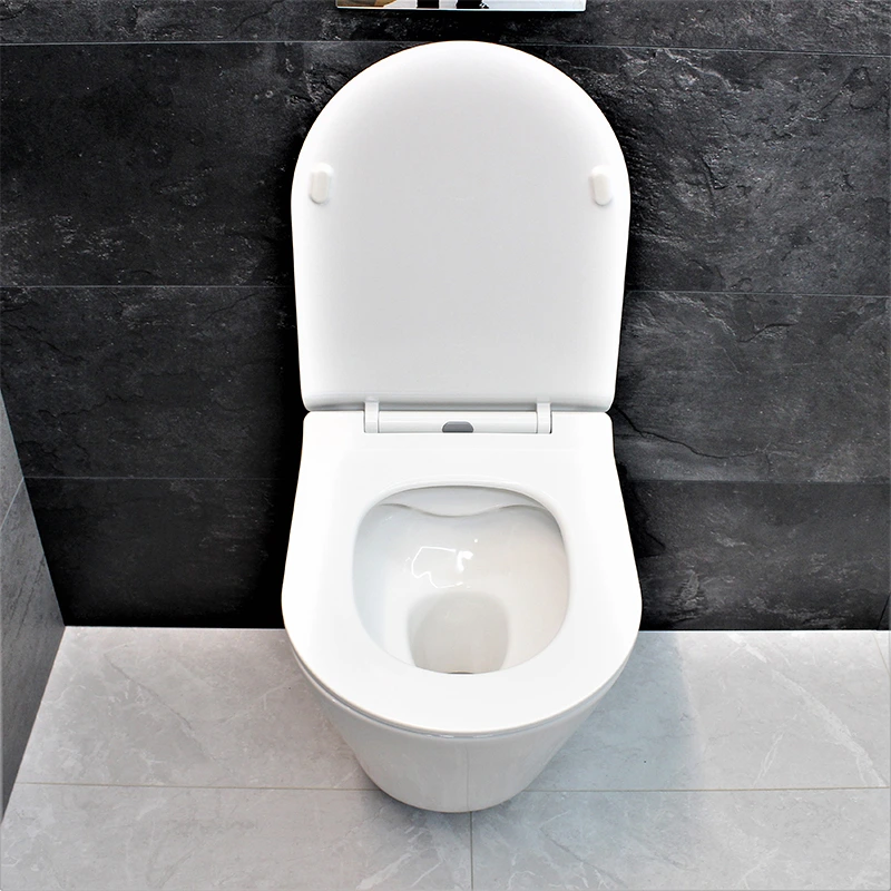 ᐉ Інсталяція Grohe Rapid SL 38772001 з унітазом Dusel Teri/сидіння Slim ...