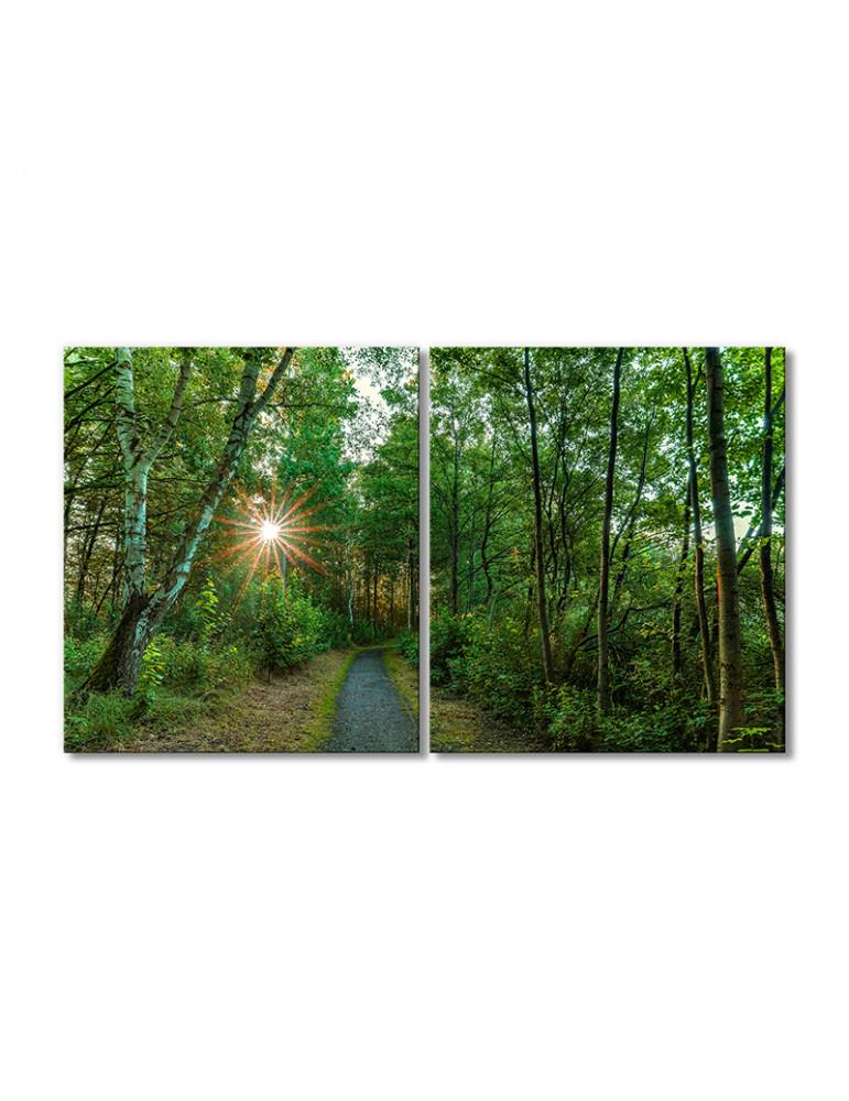 Картина модульная Путь сквозь чащу 2 модуля 40х60 см Картина модульная Путь сквозь чащу 2 модуля 40х60 см