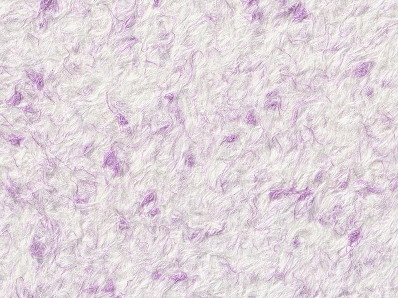 Рідкі шпалери Стиль Тип 55