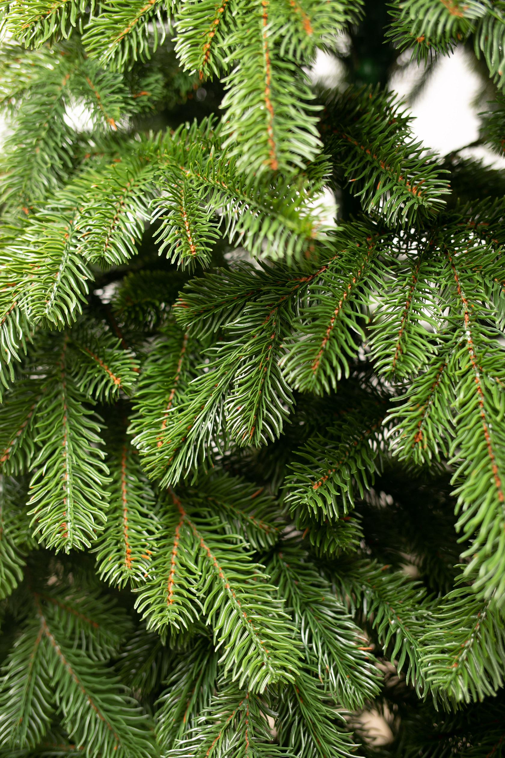 Ялинка штучна лита VIP EverLume 180 см - фото 3 Ялинка штучна лита VIP EverLume 180 см - фото 3