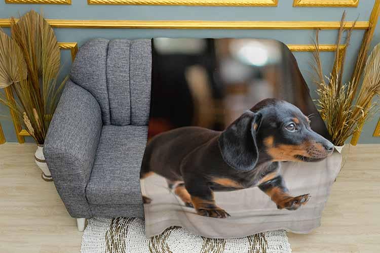 Плед A small dachshund puppy плюш двухслойный 135х150 см (113470-2)