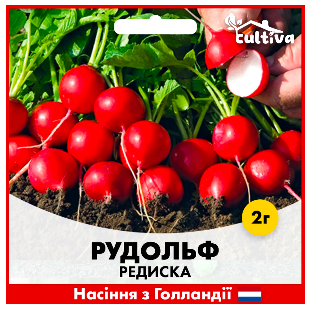 Семена редиса Bejo Рудольф 2 г (00194)