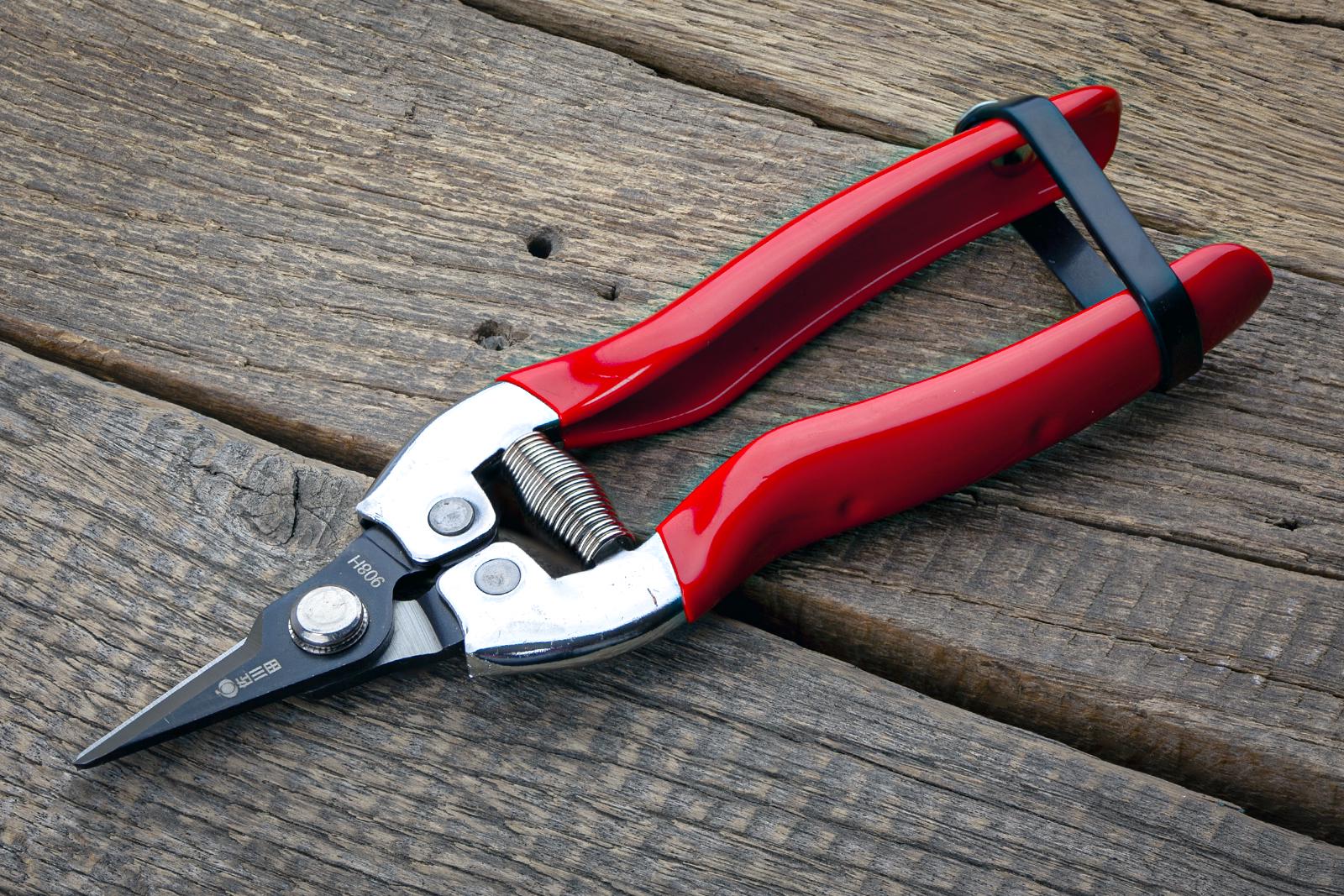 Садові ножиці Sagawata з нержавіючої сталі 168 мм (908H) - фото 7 Садові ножиці Sagawata з нержавіючої сталі 168 мм (908H) - фото 7