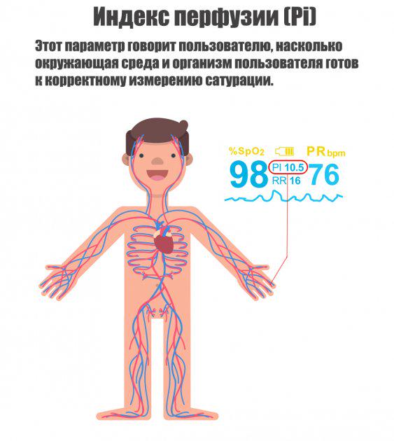 Пульсоксиметр KIUZOV Medical M150 4 показателя и OLED дисплей Белый (00654) - фото 4