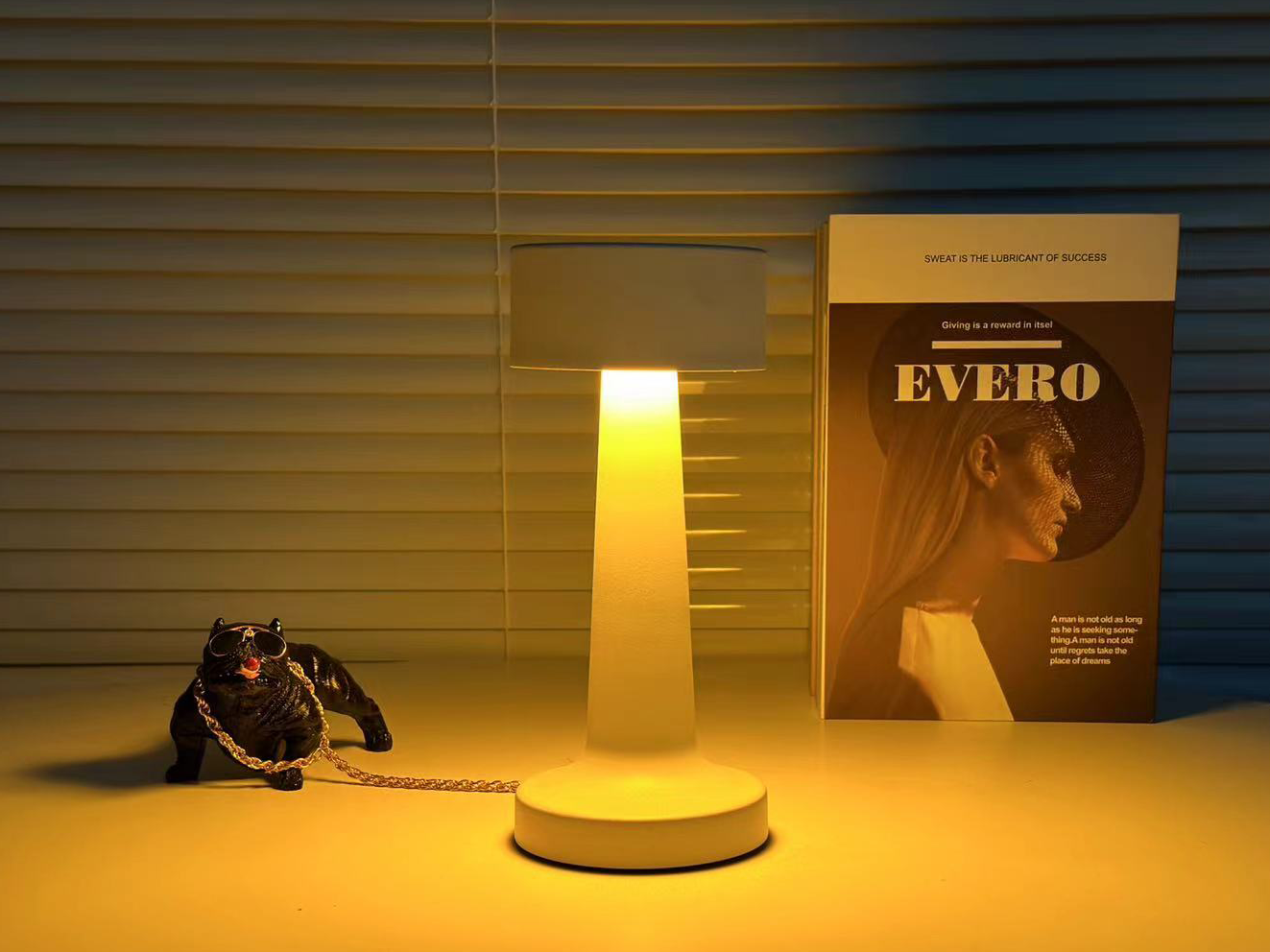 Лампа настольная светодиодная DOWN LIGHT R-SENSOR 2W White - фото 4